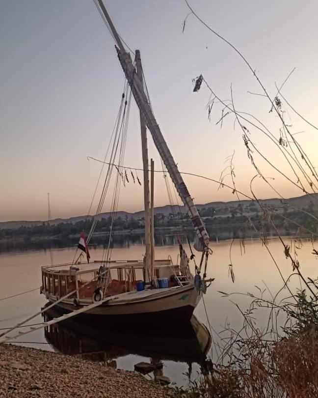 ホテル Nile Felucca Adventure アスワン エクステリア 写真