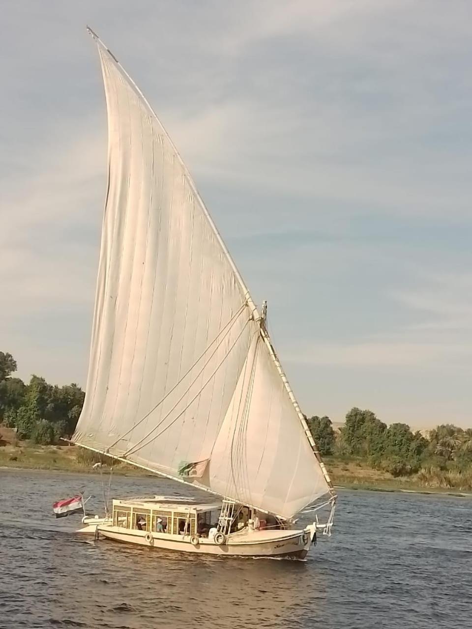 ホテル Nile Felucca Adventure アスワン エクステリア 写真