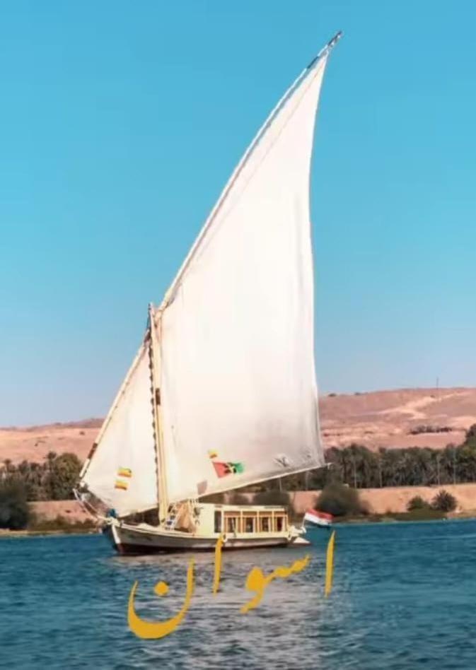 ホテル Nile Felucca Adventure アスワン エクステリア 写真